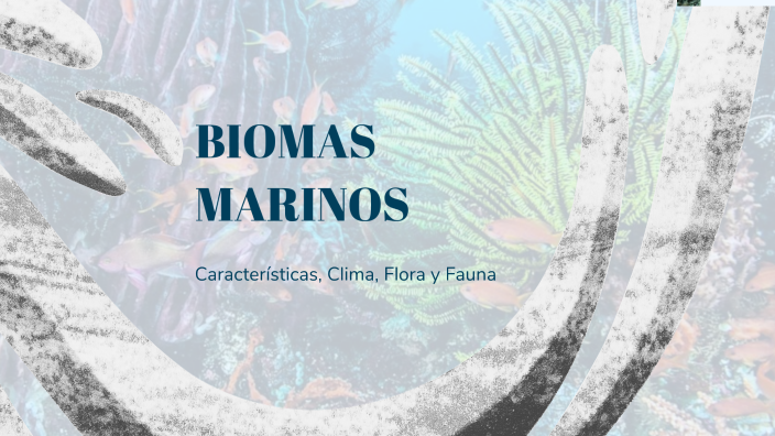 BIOMAS MARINOS by Atena Medina on Prezi