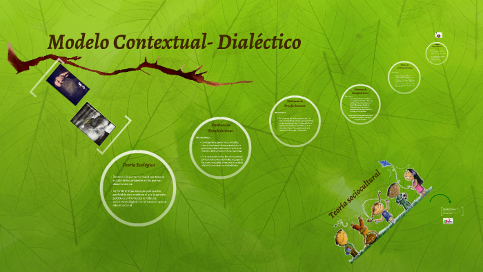 Introducir 52+ imagen modelo contextual dialéctico