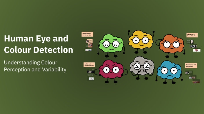 Human Eye and Colour Detection by Matt Welby on Prezi