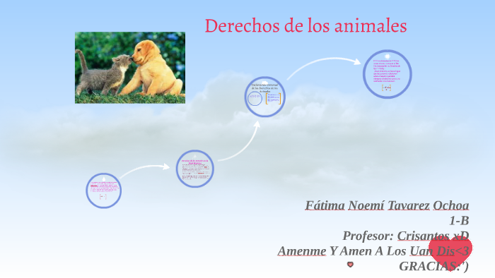 Derechos de los animales by fatima tavares on Prezi