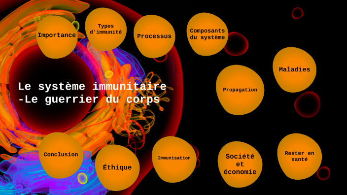 Projet de système immunitaire by Helen Elraheb on Prezi