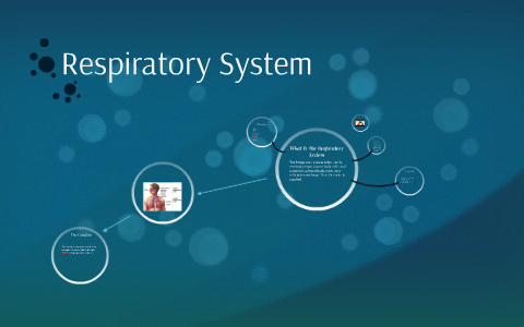 Respiratory System by on Prezi