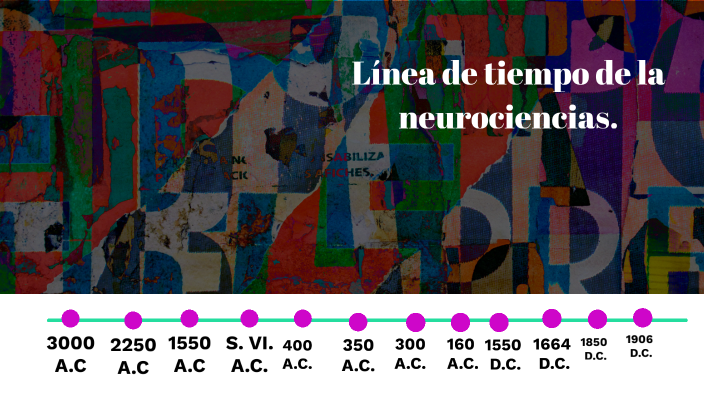 Historia De La Neurociencia By Tracy Nava Luna On Prezi 0838