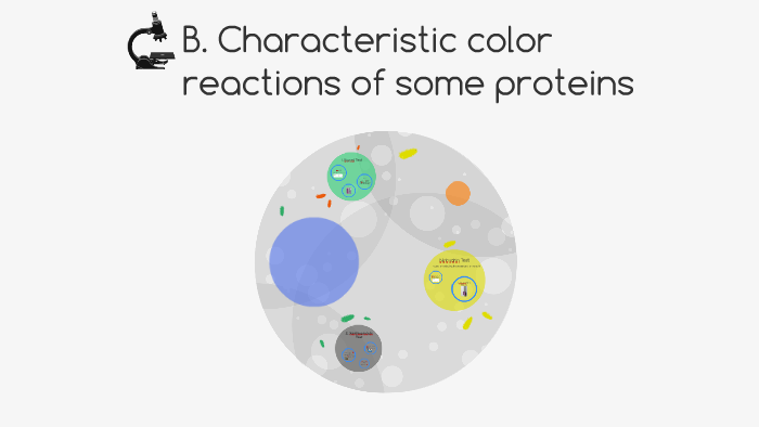 B. Characteristic Color Reactions Of Some Proteins By Vivian Timple On ...