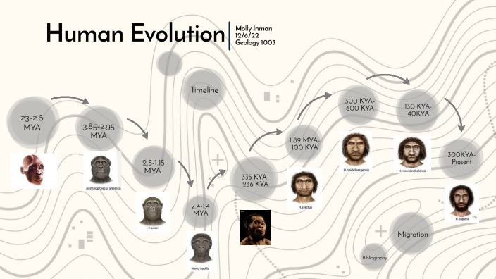 The Evolution Of The Human Species By Molly Inman On Prezi   2hzafd4ydzjnc6s7ok5yuricg36jc3sachvcdoaizecfr3dnitcq 3 0 