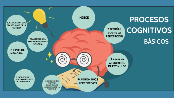 Procesos Cognitivos Básicos By Laura Gostanzo Torrico On Prezi 4043