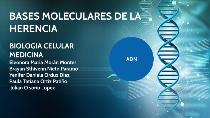 Bases Moleculares De La Herencia By Daniela Orduz On Prezi