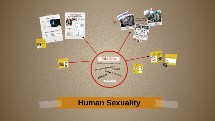 Human Sexuality By Naomi Mccool On Prezi 3054