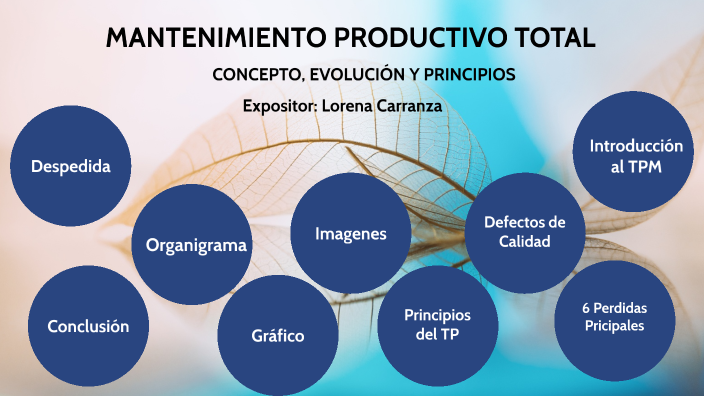 MANTENIMIENTO PRODUCTIVO TOTAL By Lorena Carranza On Prezi