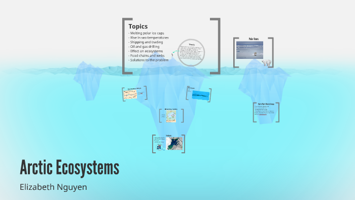 How Climate Change Affects Arctic Ecosystems by Elizabeth Nguyen on Prezi