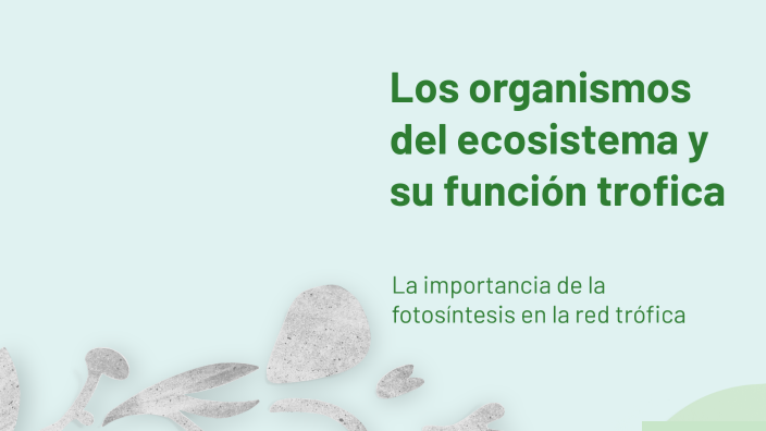 Los organismos del ecosistema y su función trofica by Rodrigo Nieva on ...