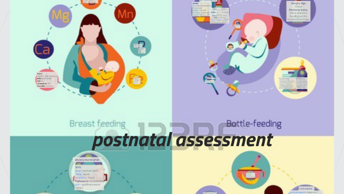 postnatal-assessment-by-aljazi-mohmmad-on-prezi
