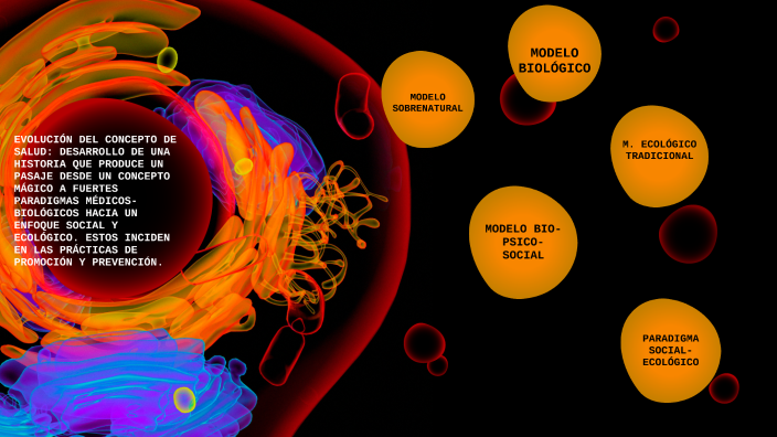 Evolución Del Concepto De Salud By Dalma Peiran On Prezi