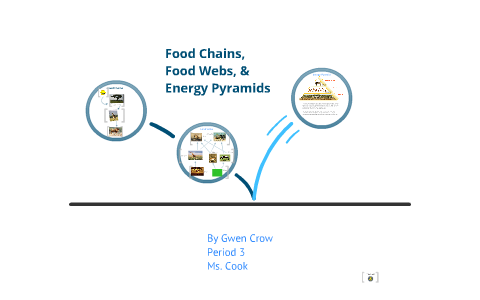 Amoeba Sisters Genetic Drift Answer Key / Answer Key Amoeba Sisters