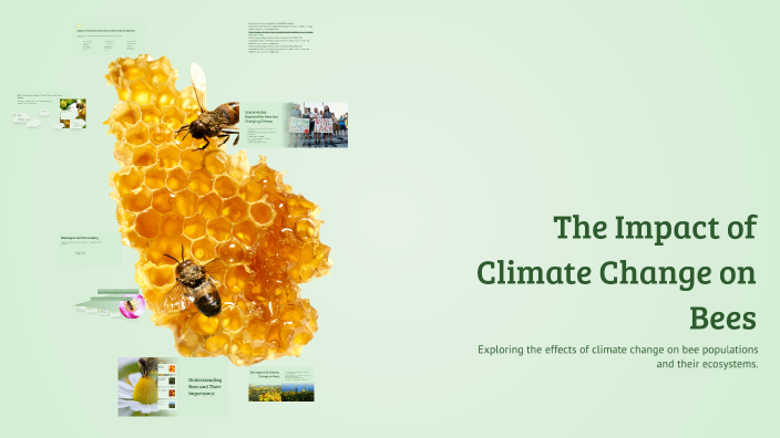 The Impact of Climate Change on Bees by Arnold Gook on Prezi