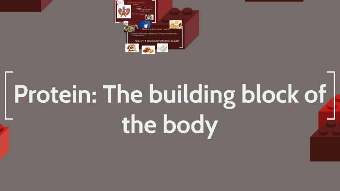 Protein: The Building Blocks of the body by Alayna Hutchinson on Prezi