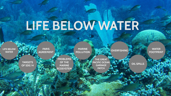 presentation on life below water
