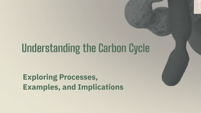 Understanding the Carbon Cycle by Ava Stang on Prezi