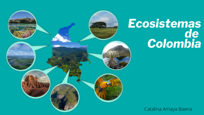 LOS ECOSISTEMAS DE COLOMBIA by Catalina Amaya on Prezi