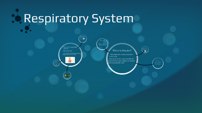 Respiratory System by Brian . on Prezi