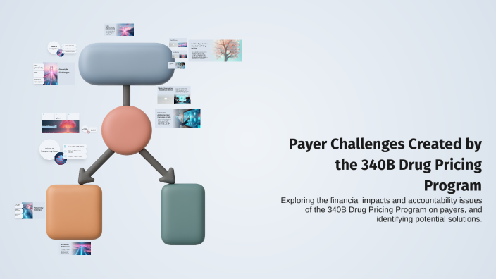 Payer Challenges Created by the 340B Drug Pricing Program by Mike ...