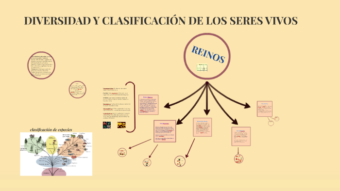 diversidad y clasificacion de los seres vivos by lucia martinez albano diversidad y clasificacion de los seres