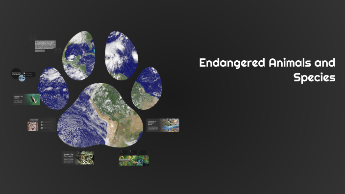 Endangered Animals and Species by Lazari Sandu on Prezi