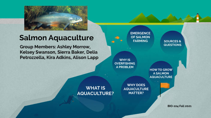 Salmon-aquaculture By Delia Petrozzella On Prezi