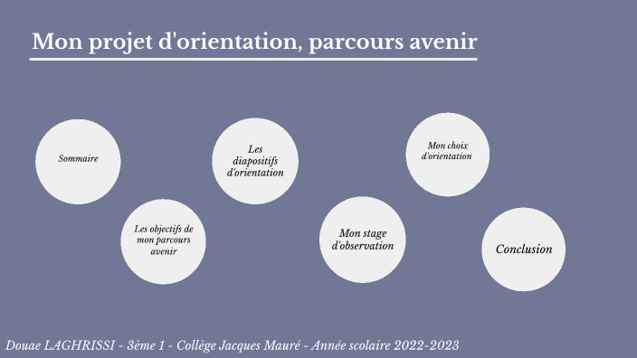 Mon Projet D'orientation, Stage En Entreprise By Sabrina Nih On Prezi