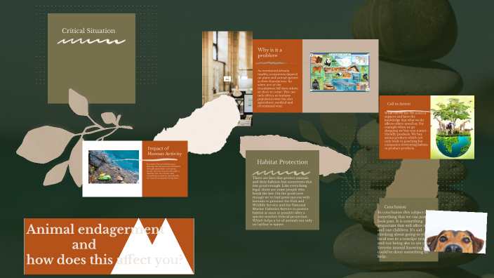 Endangered Species by Axel Chavez on Prezi