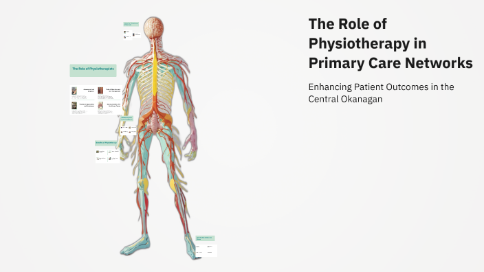 The Role of Physiotherapy in Primary Care Networks by Russell Reding on ...
