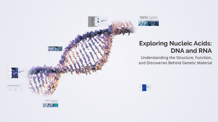 Exploring Nucleic Acids: DNA and RNA by Smokey Barbecue on Prezi