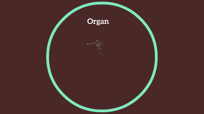 Journey Through the Animal Cell by Luke Lackey on Prezi