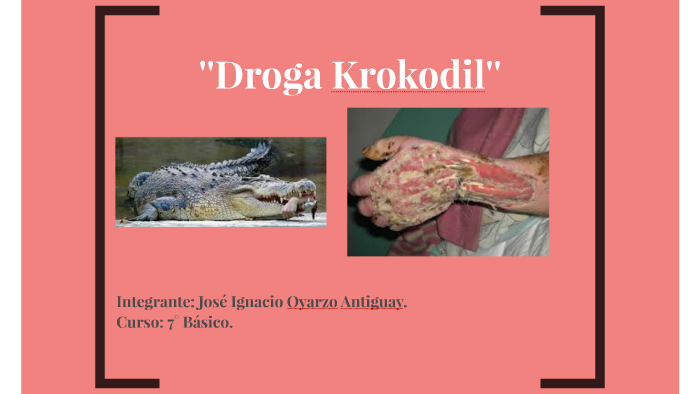 Droga Krokodil Ataca by Francisca Pastene 30