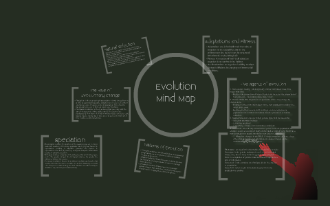 Evolution Mind Map by candice wang on Prezi