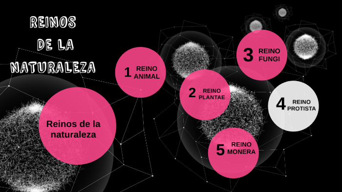 REINOS DE LA NATURALEZA by wendy mendivelso on Prezi