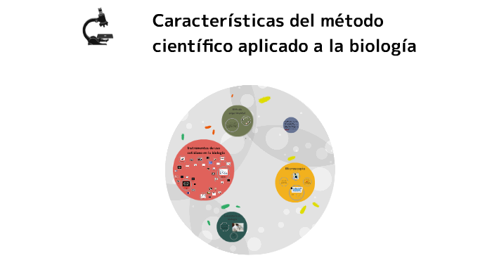 Características Del Método Científico Aplicado A La Biología By Karla Montes On Prezi Next