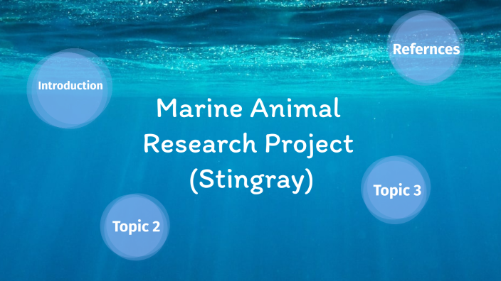 marine animal research project