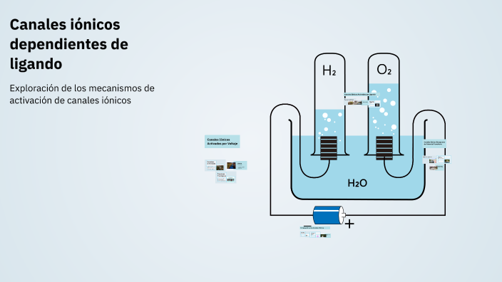 Canales iónicos dependientes de ligando by Bruno Hernandez on Prezi