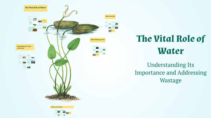 The Vital Role of Water by Rachayita Sharma on Prezi