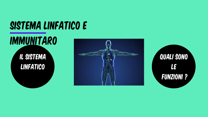 Sistema Linfatico By Dominique Ortega On Prezi