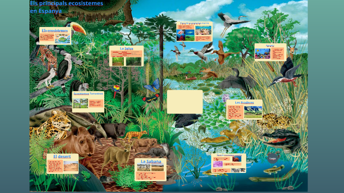 Los principales ecosistemas en España by Jorge Valiente on Prezi