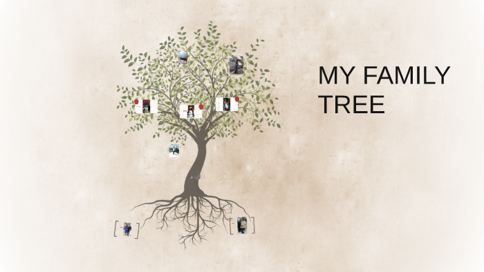 My family tree by luis miranda on Prezi