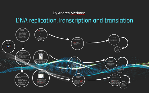 DNA replication,Transcription and translation by andres medrano on Prezi