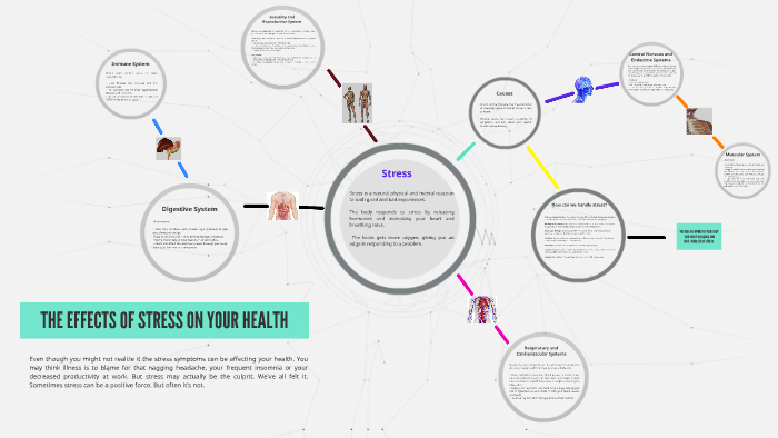 EFFECTS OF STRESS IN HEALTH by Laura Vazquez on Prezi