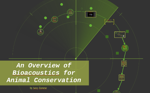 An overview of bioacoustics for animal conservation by Susy Zanese on Prezi