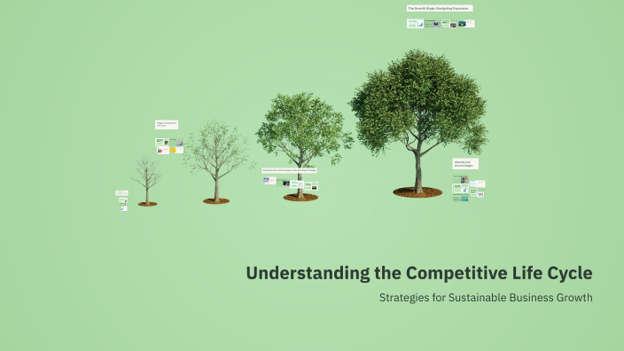 Understanding the Competitive Life Cycle by Khang Huy Đinh on Prezi