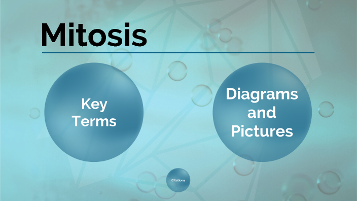 prezi presentation mitosis