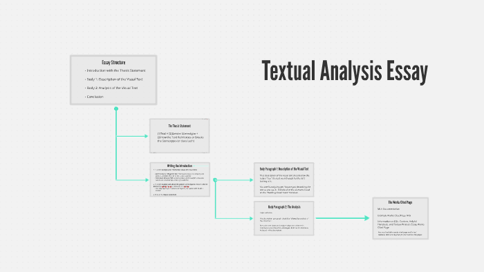 what is a textual analysis essay