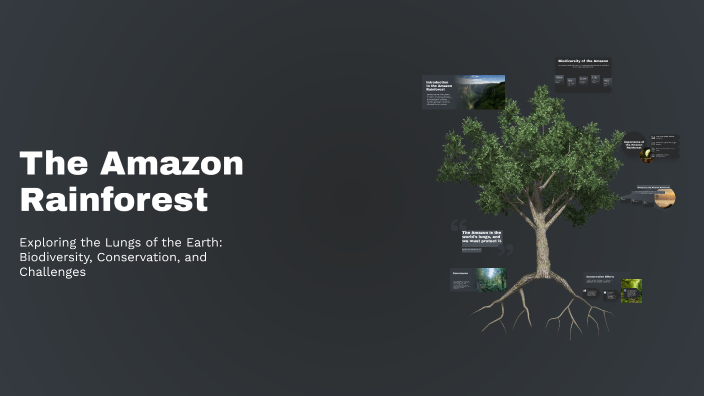The Amazon Rainforest by bob jr on Prezi
